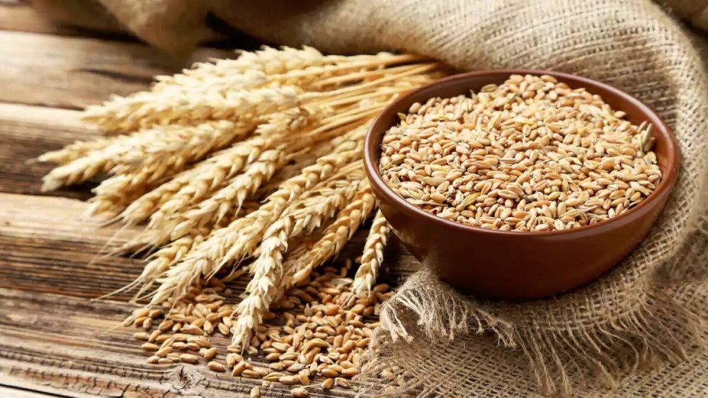نرخ تضمینی گندم با بوی بیمه اجباری
