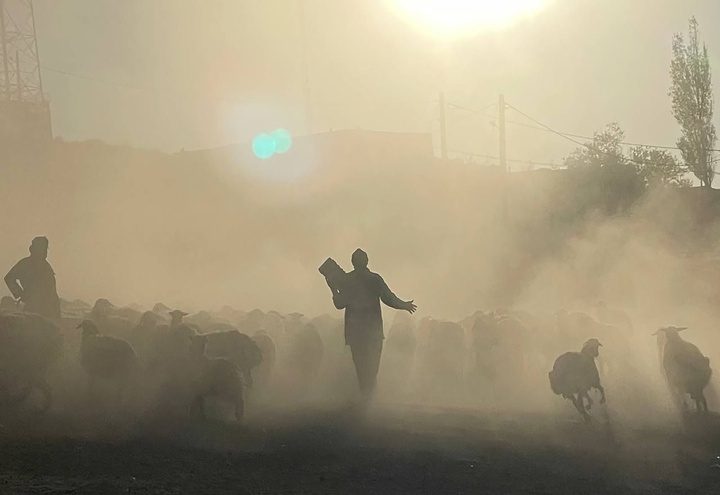 «عەدنان زەندی»؛ «دەم بەستە» بەرهەم دێنێت