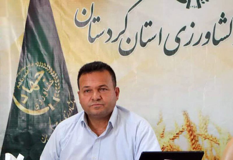 ضرورت احتیاط کشاورزان در کشت پاییزه/با این میزان بارش، اجازه شخم زدن زمین را نداریم