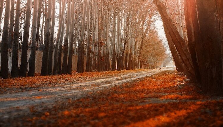 راهنمای کامل سفر یک‌روزه به شهریار
