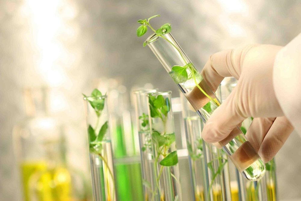 مرکز حفظ ذخایر ژنتیکی گیاهی و چوبی در استان ایلام راه‌اندازی شد