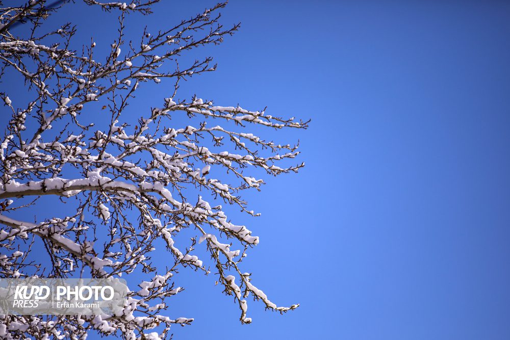 کردستان هفته ای بدون بارش را پیش رو دارد