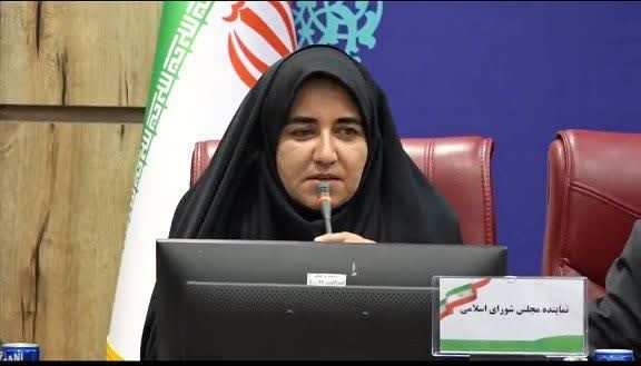 حذف ارز ترجیحی بدون زیرساخت، مردم و تولیدکنندگان را متضرر می‌کند