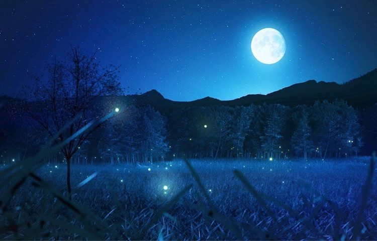 چگونه در 10 ثانیه بخوابیم؟