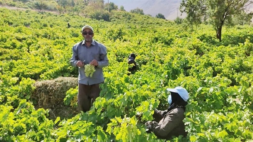 طرح گردشگری کشاورزی روستایی در آذربایجان غربی کلید خورد