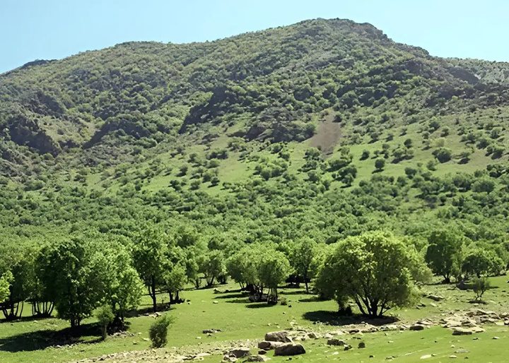 ۵ میلیارد تومان برای تکمیل زیرساخت‌های گردشگری در شبانکاره اختصاص یافت