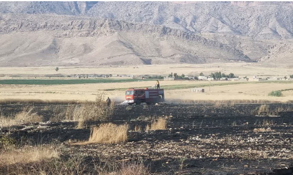 آتش‌سوزی  در مزارع گندم گیلانغرب