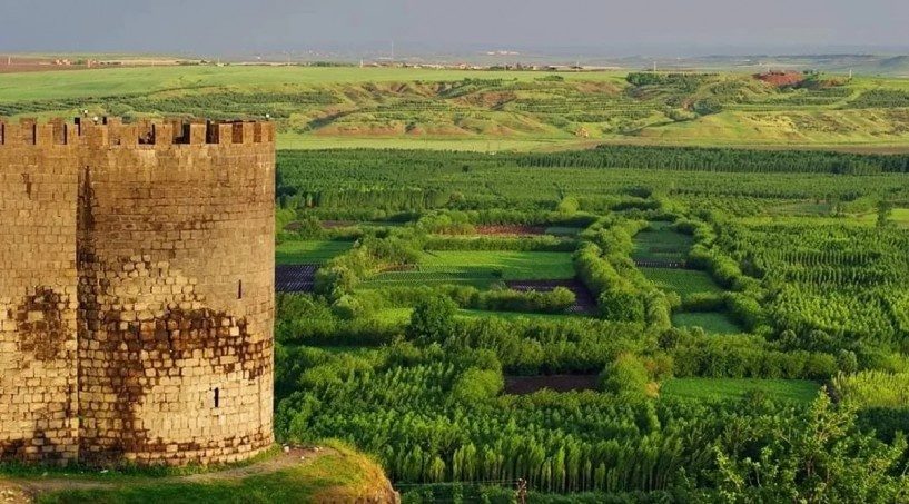 کشف بیش از ۱۲ هزار بوته شاهدانه در باغ‌های تاریخی دیاربکر