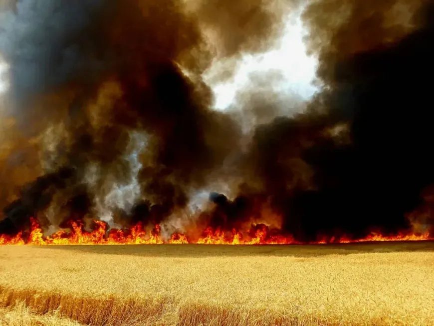 آتش‌سوزی‌های گسترده در کردستان سوریه؛ بیش از ۲۰ هکتار از اراضی کشاورزی در آتش سوخت