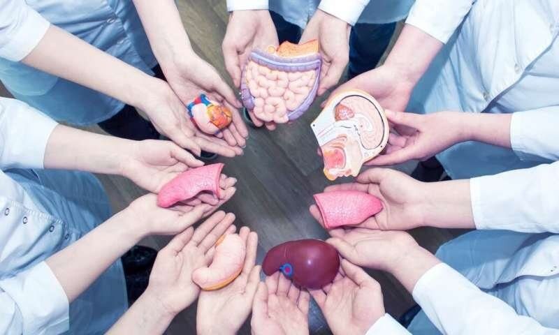 ششمین اهدای عضو در آذربایجان غربی ثبت شد
