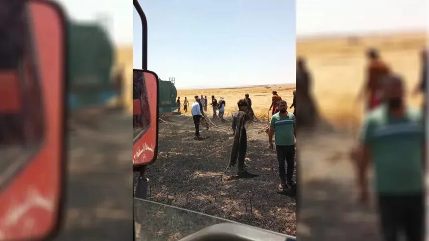 آتش‌سوزی ۲۰ هکتار از مزارع گندم در حومه حسکه را نابود کرد