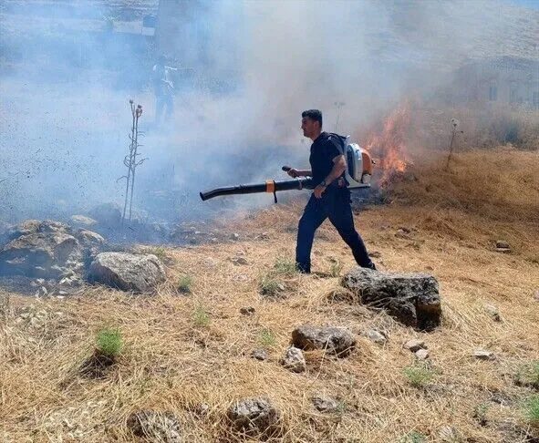 آتش‌سوزی در مزارع دو شهرستان استان ماردین