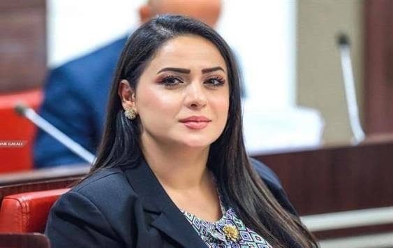 نماینده نسل نو: حزب دمکرات دچار اختلال روانی شدە است