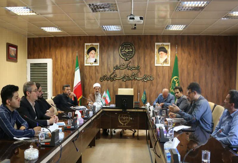 خام فروشی گیاهان دارویی در کردستان باید به زنجیره ارزش تبدیل شود