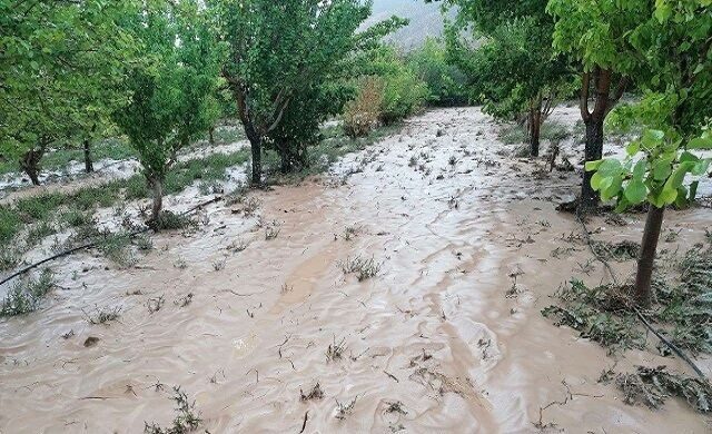 سیل ۱۲۰ میلیارد ریال به بخش کشاورزی صفائیه خوی خسارت زد