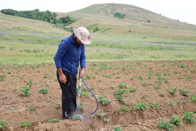 تلاش مهندس کُرد برای زنده کردن کشاورزی در روستایی که سال ها اجازه کشت نداشت + فیلم