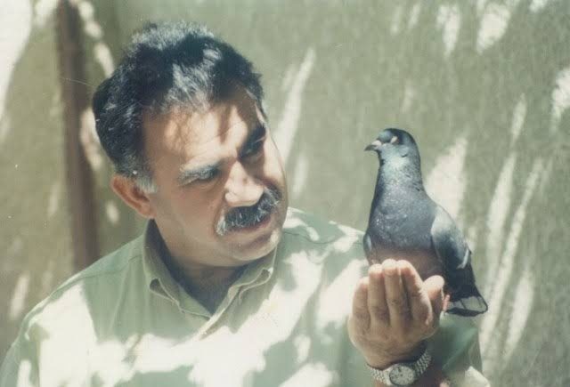 سلاح یک پیامد است، باید علت‌ آن برچیده شود/ باید امکان ارتباط اوجالان با PKK فراهم شود + فیلم