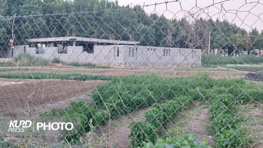 «تبدیل به احسن» در اراضی موقوفه «شاطری» انجام نگرفته/شهرداری ٤ سال قبل برگ ضوابط صادر کرده بود