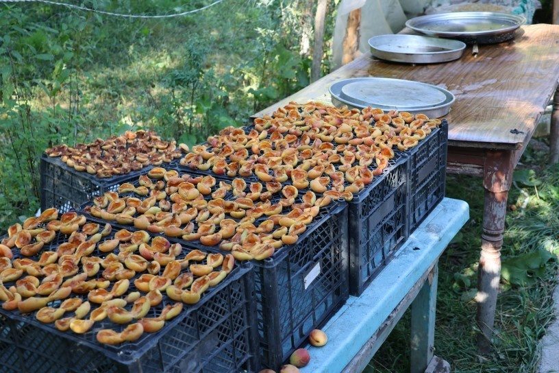زنان قارص چگونه به شیوههای سنتی، لواشک توت، شیره و کومه درست میکنند + فیلم