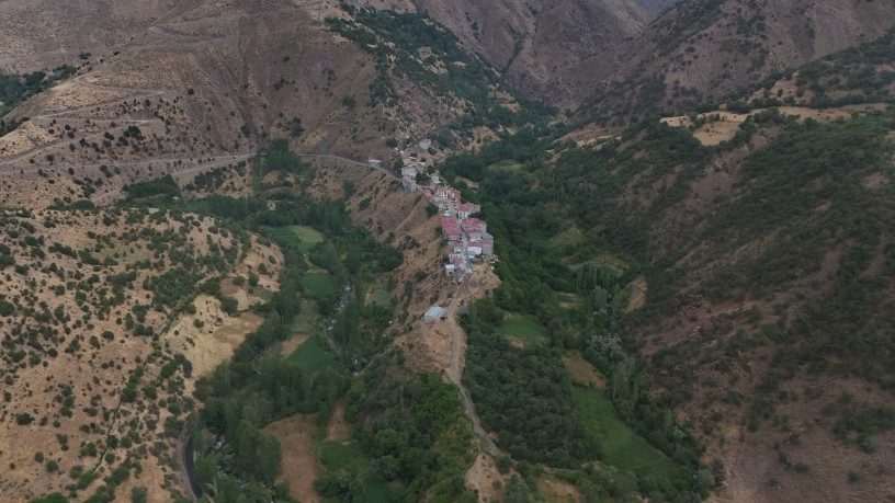 استخوانهایی که سرانجام یکدیگر را در آغوش گرفتند؛ روایت دو برادر که هرگز همدیگر را ندیدند + فیلم